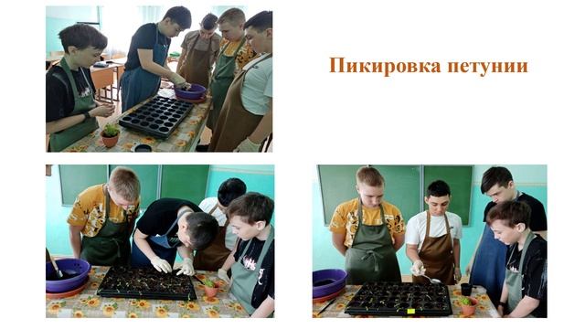 Обобщение опыта "Эффективные методы и технологии преподавания предмета труд (технология)" смотреть онлайн