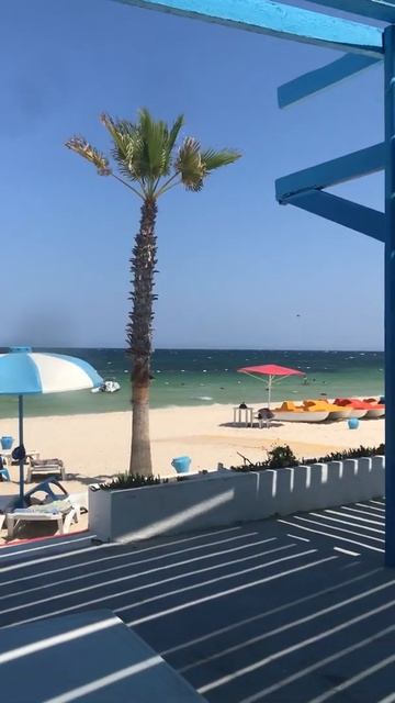 Тунис 2019 смотреть онлайн