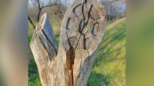 Запорожская сечь смотреть онлайн