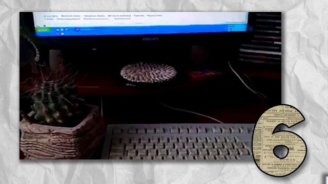 10 ЗАБЛУЖДЕНИЙ, В КОТОРЫЕ ВЕРИТ ЧЕЛОВЕЧЕСТВО #4