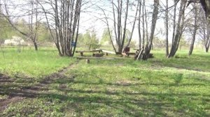 Крыша для пчёл Садовый кемпинг