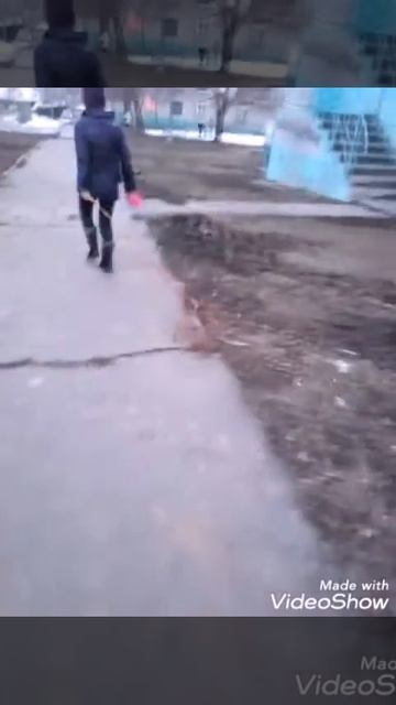 Прогулка с 2 собаками " ожидание и реальность " смотреть онлайн