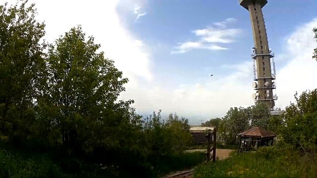 Витоша, Копитото