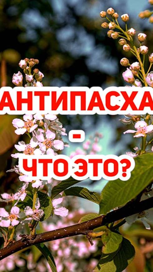 Антипасха - что это? смотреть онлайн