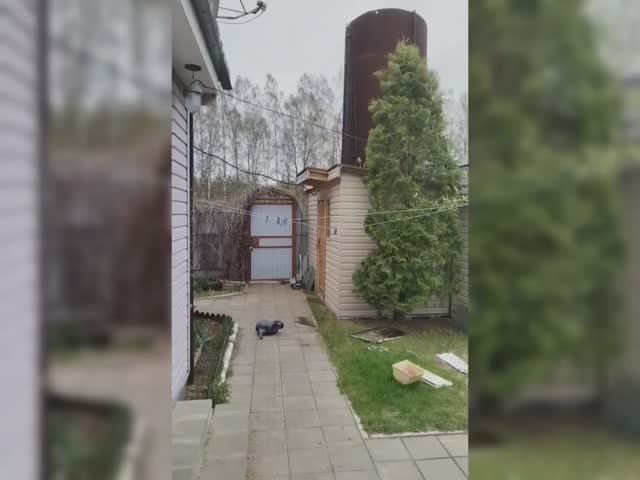 Замечательный день. Я словил 4 тыловые конвекции! смотреть онлайн