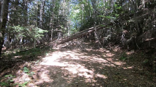 Відпочинок в Карпатах 2017 смотреть онлайн