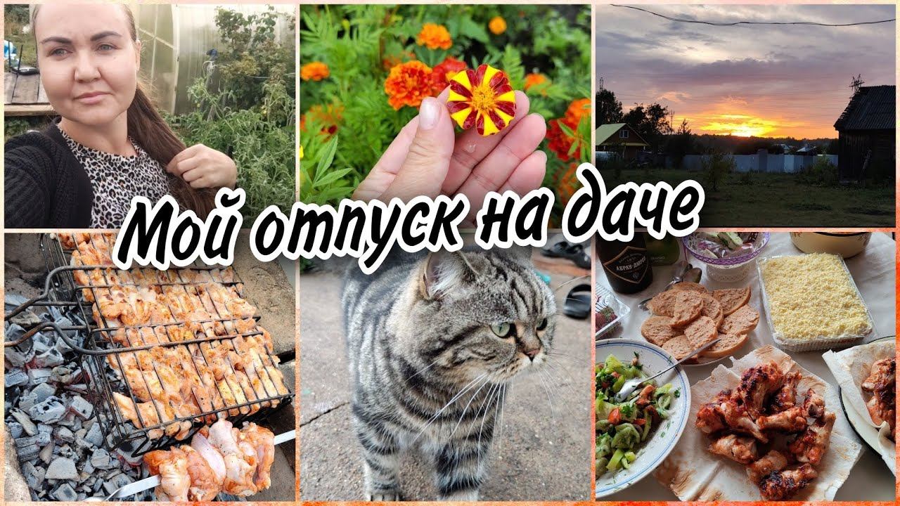 Начало отпуска на дачеЖарим шашлычок. Работа воспитателя меня не покидаетПышные оладушки смотреть онлайн