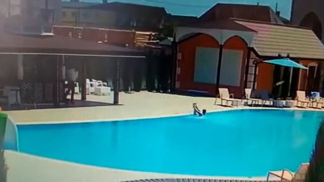 Роксолана. Ответсвенный бармен. смотреть онлайн