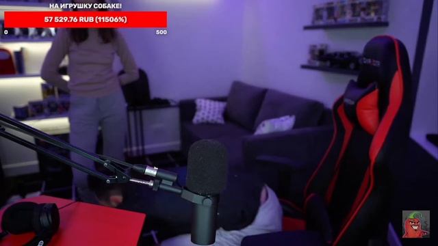 эд показал собаку😱, милашка😍 смотреть онлайн
