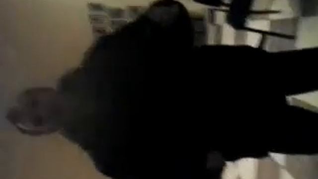 Хмырь танцует;\кайфуем сегодня мы с тобой кайфуем смотреть онлайн