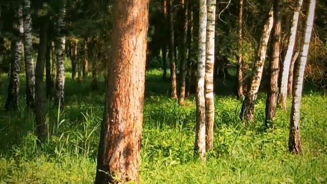 Озеро біля Лопатина