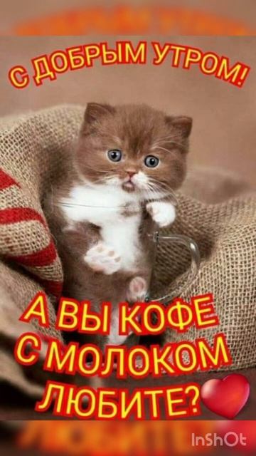 Доброе утро ☀️✨💫 смотреть онлайн