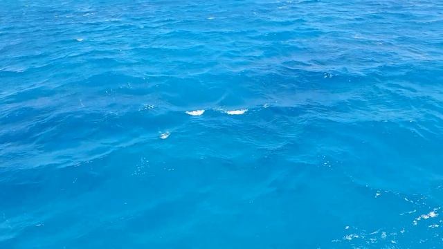 Морюшко Красное 2022 Хургада смотреть онлайн