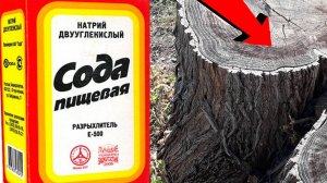 Как избавиться от пней деревьев За 3 Секунды!!!..