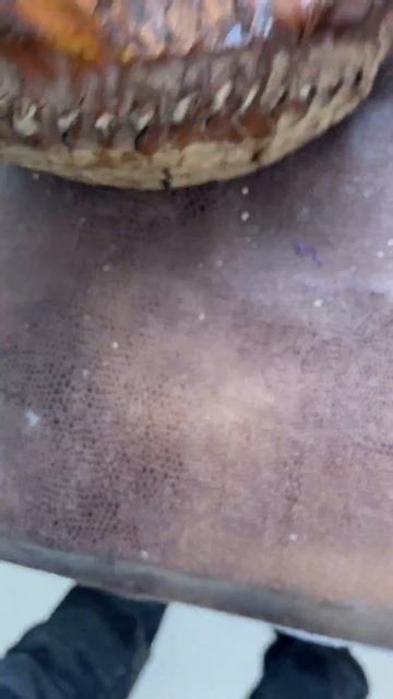 ЗУБ МАМОНТА ДО СТАБИЛИЗАЦИИ😱 смотреть онлайн