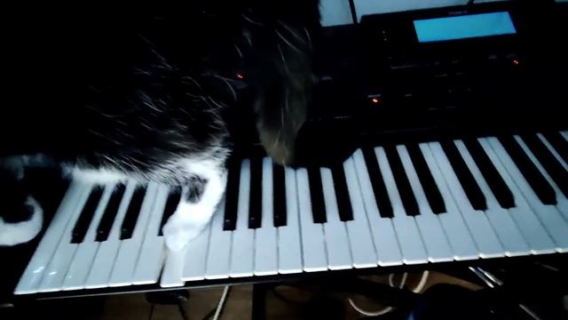 #Roland #G_800 "Tutorial" How to use floppy disks and how to loop chord sequencer and recording смотреть онлайн