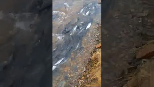 13 июля 2023 г.