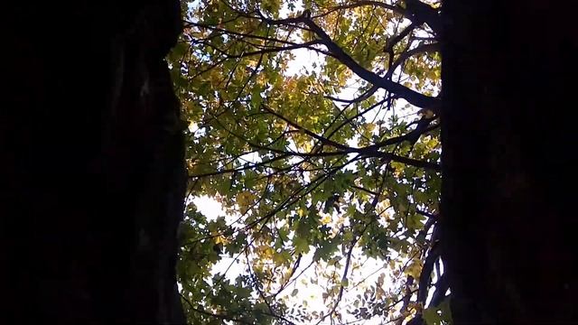 Развалка смотреть онлайн