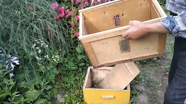 Самодельная простая, удобная роевня