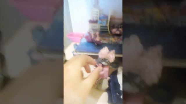 ИСТОРИЯ СНЕЖКИ 3  СЕРИЯ!¡!!!!!¿¿!!!!!