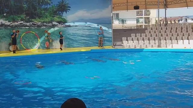 Витязево_ДЕЛЬФИНАРИЙ смотреть онлайн