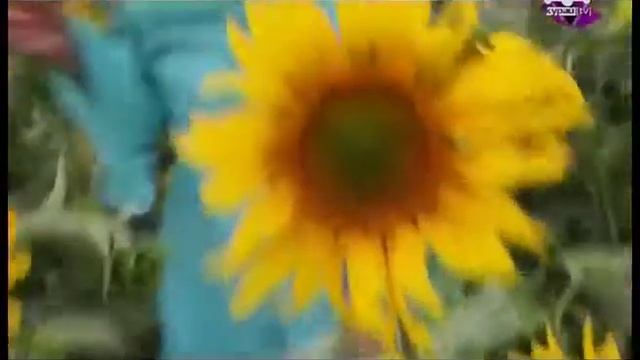 Райхана Ҡасҡынова - Бәхет гөлө