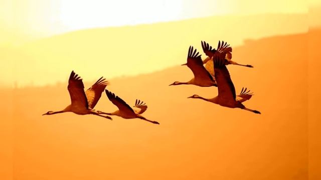 Листопад. Читання вірша смотреть онлайн