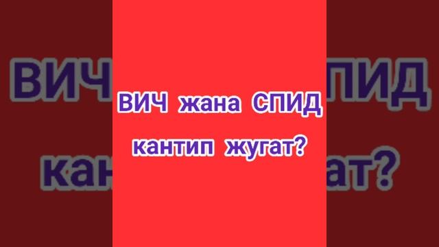 #спидден сактан