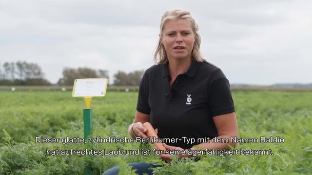 BEJO | Première Bejo Varieties 2020 - Möhren