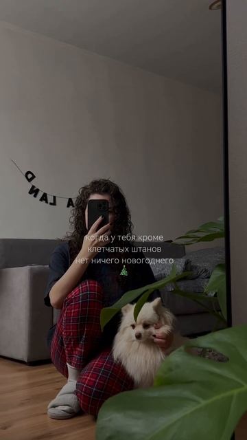 #aesteticvlog #healthylifestyle #домашняярутина #кудри #шпиц #новыйгод смотреть онлайн