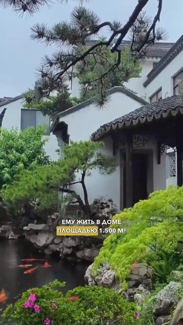 САМЫЙ БОГАТЫЙ И САМЫЙ СКУПОЙ ЧЕЛОВЕК ЯПОНИИ #shorts смотреть онлайн