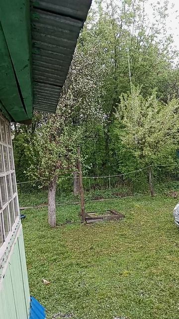 26.04.2025. Всё пропало ! Ужас ! 😰 смотреть онлайн