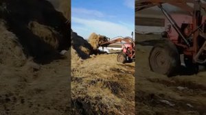 Владимирец т 25 с куном.