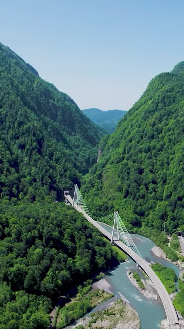 Достопримечательность «Вантовый мост», участок Адлер — курорт Альпика