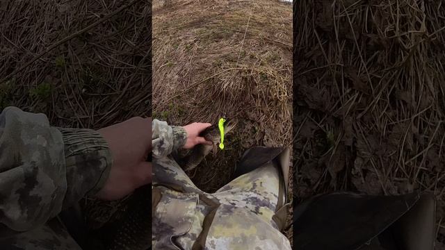 РЫБАЛКА. ОТКРЫЛ СЕЗОН. АПРЕЛЬ. ЩУКА.