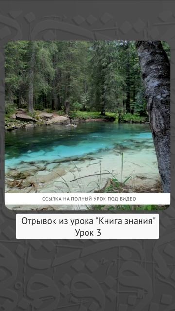 Соблюдайте адаб на уроке, вопросы после урока! || Динар абу Идрис #ислам #коран #знание #сунна #вер смотреть онлайн