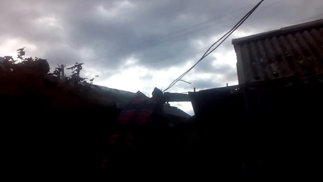 Голубь.3 часть