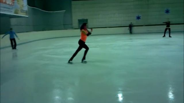 Тренировка по фигурному катанию (20.04.2014) смотреть онлайн