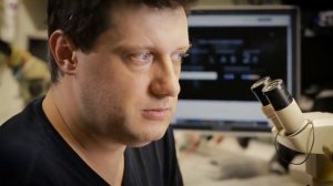 0138. НАУКА 2.0. БОЛЬШОЙ СКАЧОК. Намеренное устаревание товаров