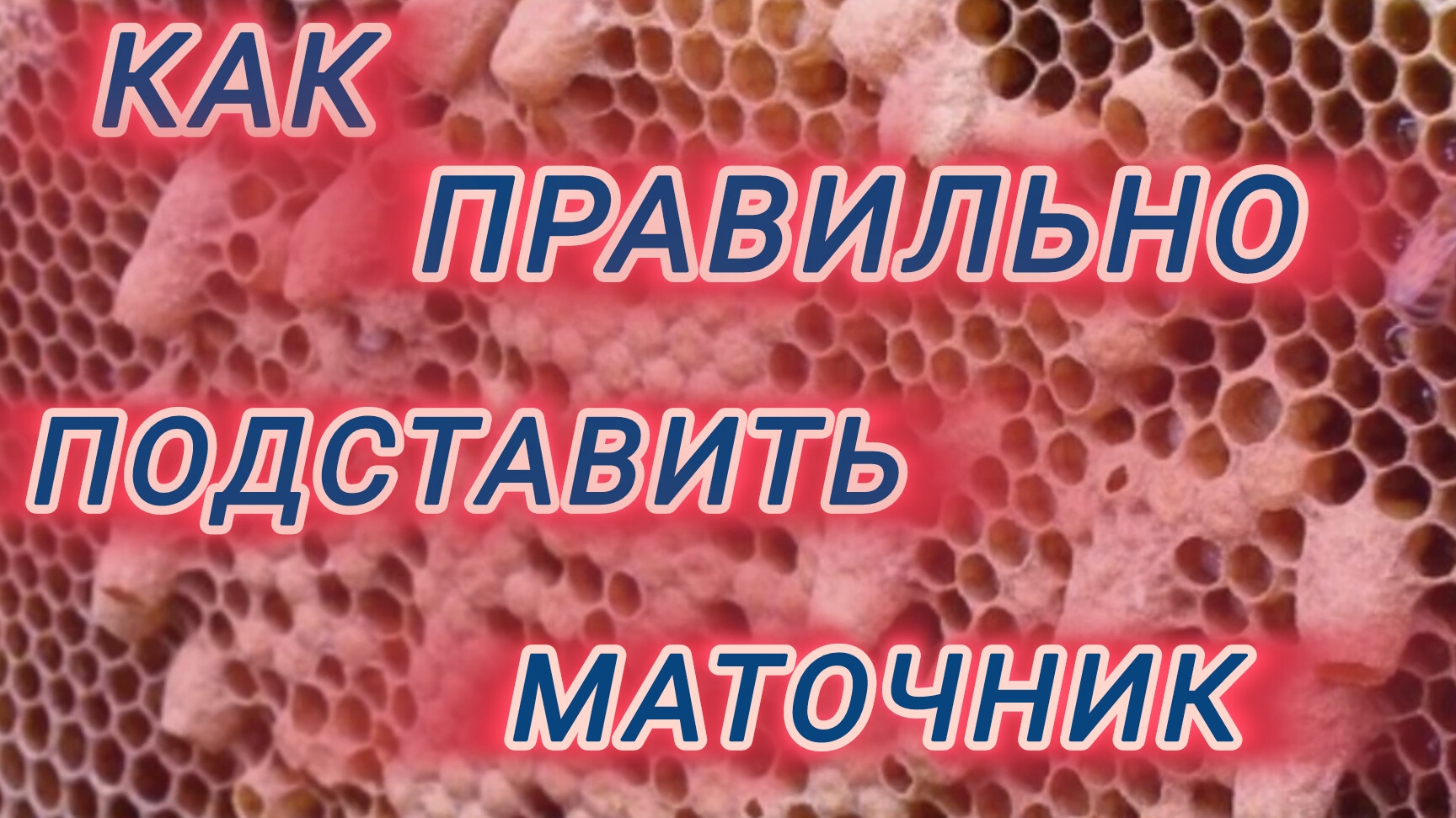 Как правильно подставить маточник смотреть онлайн