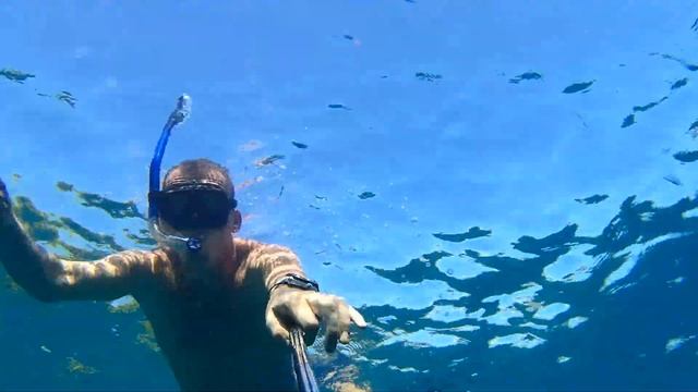 Первый нырок с селфипалкой, хорошая обзорность смотреть онлайн