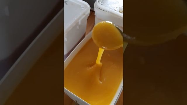 Мед. Н.С.В. Медовый дворик. 89281601648 смотреть онлайн