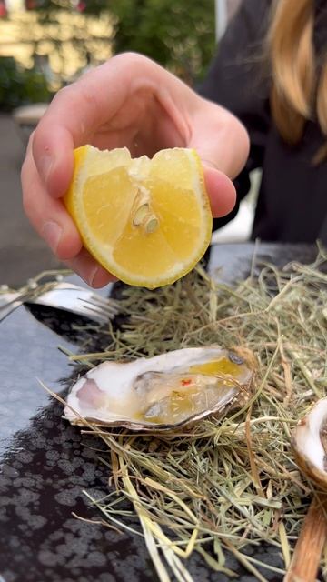 Все дороги ведут в Шато Терра #shorts #ресторан #спб #еда #лето #удовольствие #десерт смотреть онлайн