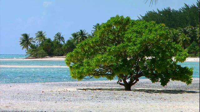 🔥РЕЛАКС ДЛЯ ПРОГУЛКИ И ХОРОШЕГО НАСТРОЕНИЯ, Лучшая музыка для души!🔥 смотреть онлайн