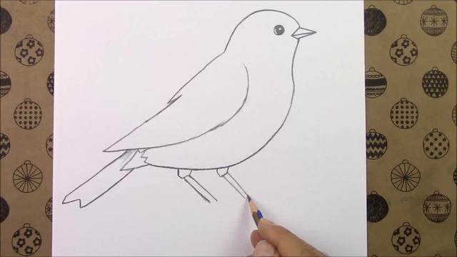 Kuş Nasıl Çizilir, Karakalem Kolay Kuş Resmi Çizimi Adım Adım Nasıl Yapılır, Çizim Hobimiz Resimler