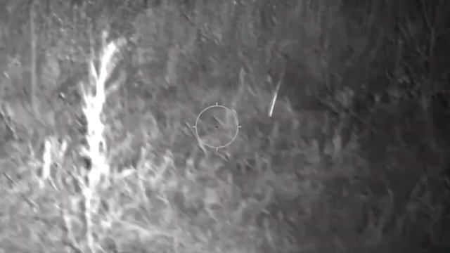 охота на кабана смотреть онлайн