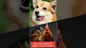 Мулло Абдурахим қиссаи ҳазрати Мусо