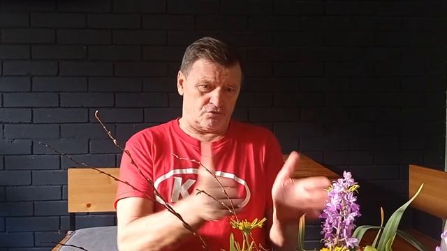 Отзывы о Ретрите в Нексис клубе. Александр Самойленко.