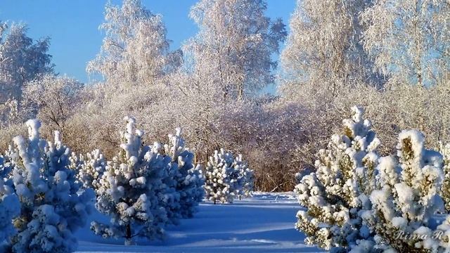 Красавица Зима Смотрим и наслаждаемся смотреть онлайн