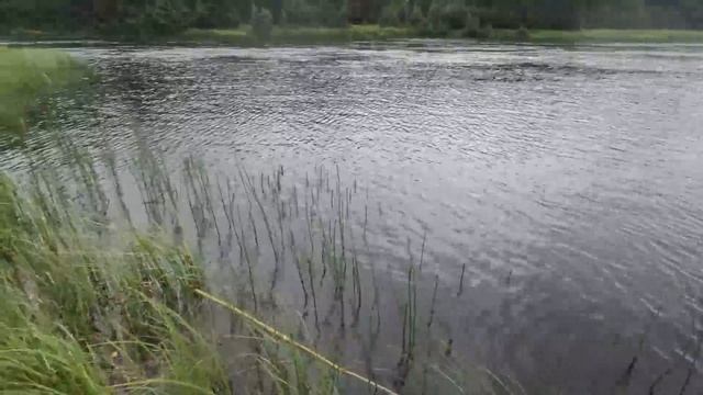 Вот это поворот!!! Ловили хариуса на реке, а клюнуло это! #атака #улов #трофей #рыбалка #cope смотреть онлайн